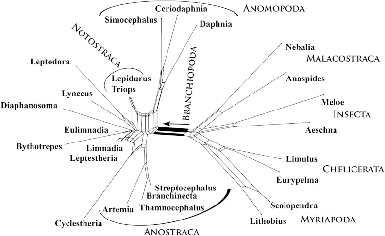 FIG. 3.—