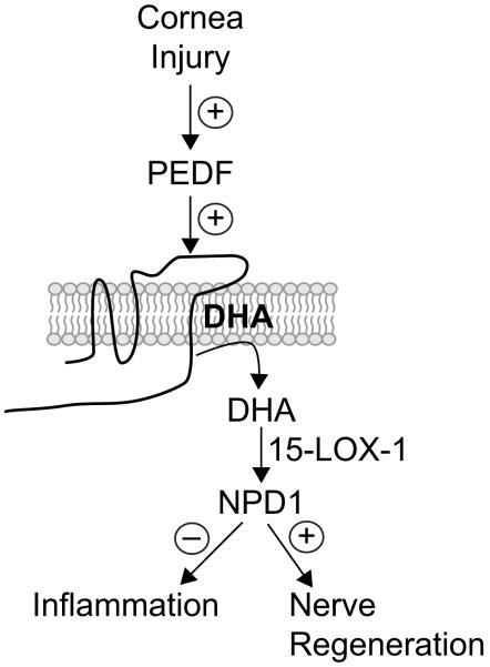 Fig 5