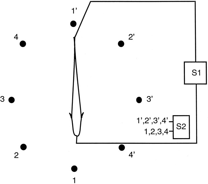 Fig. 2.