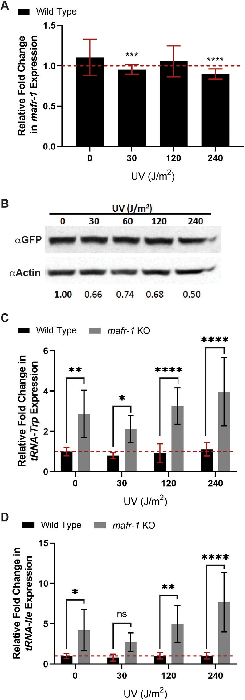 FIGURE 2: