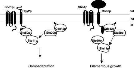 Figure 9.