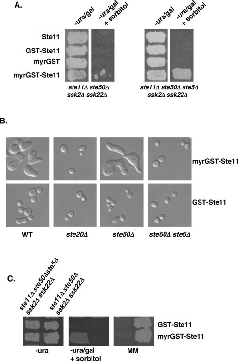 Figure 5.