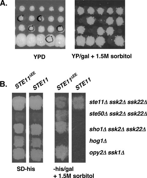 Figure 6.