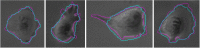 Fig. 13