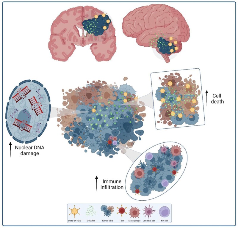 Graphical Abstract