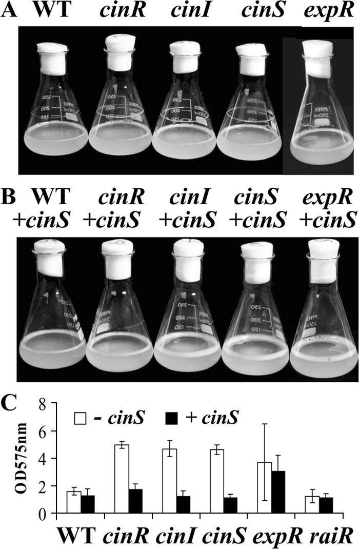 FIG. 6.