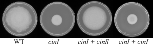 FIG. 7.