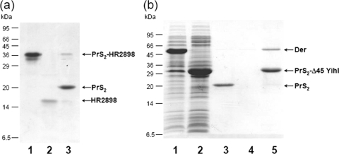 FIG. 5.