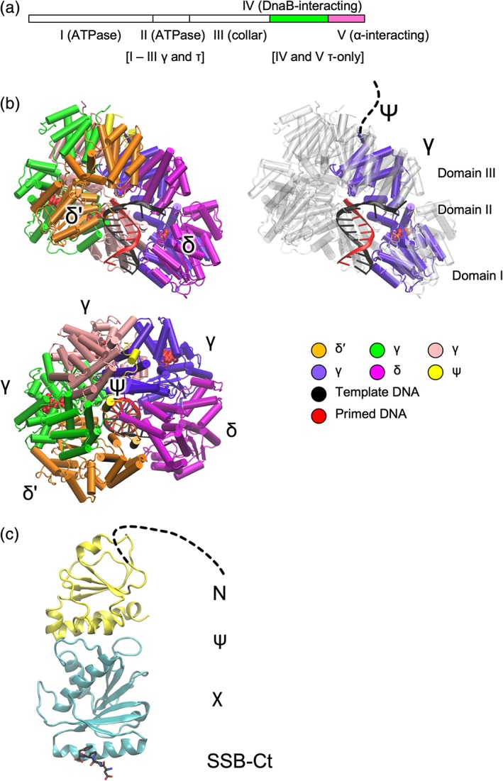 Figure 9