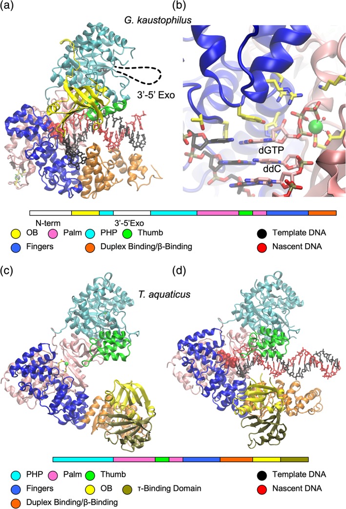 Figure 5