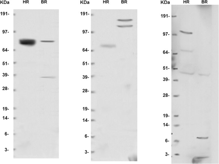 Figure 2-