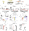 Fig. 4|