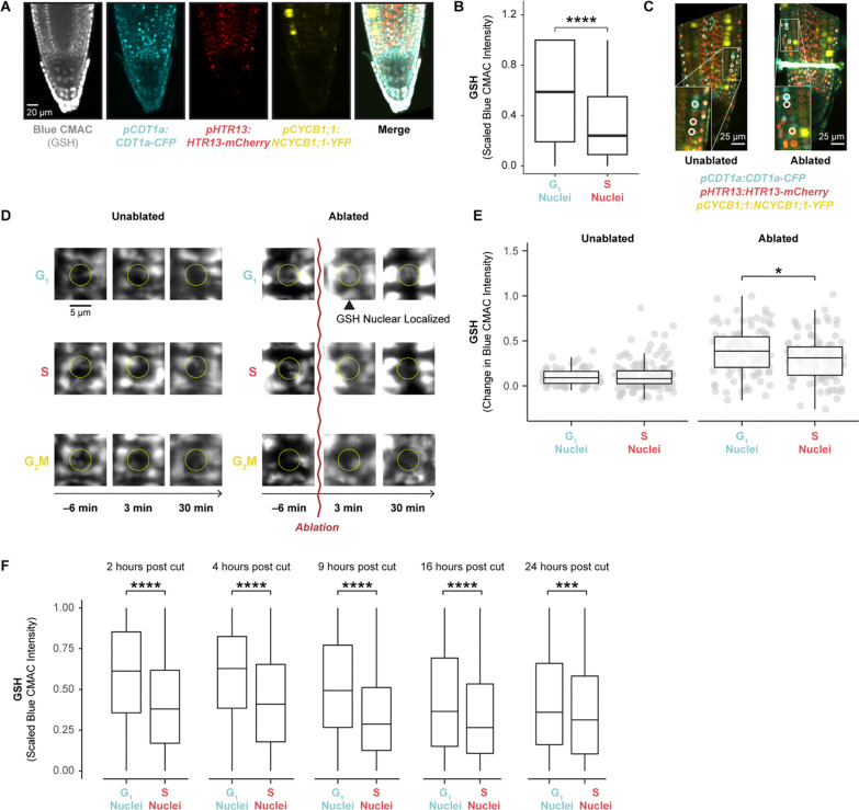 Figure 4: