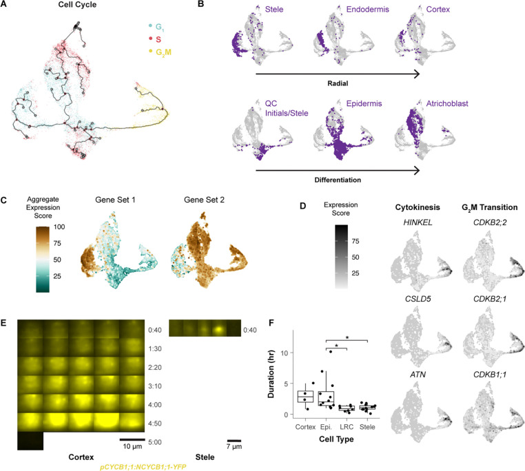 Figure 2: