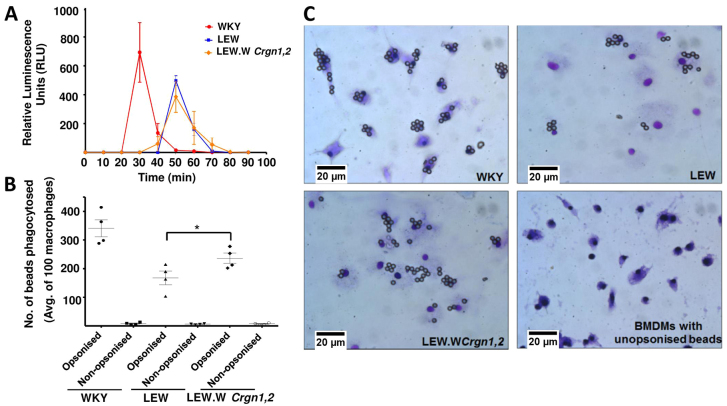 Fig. 4.