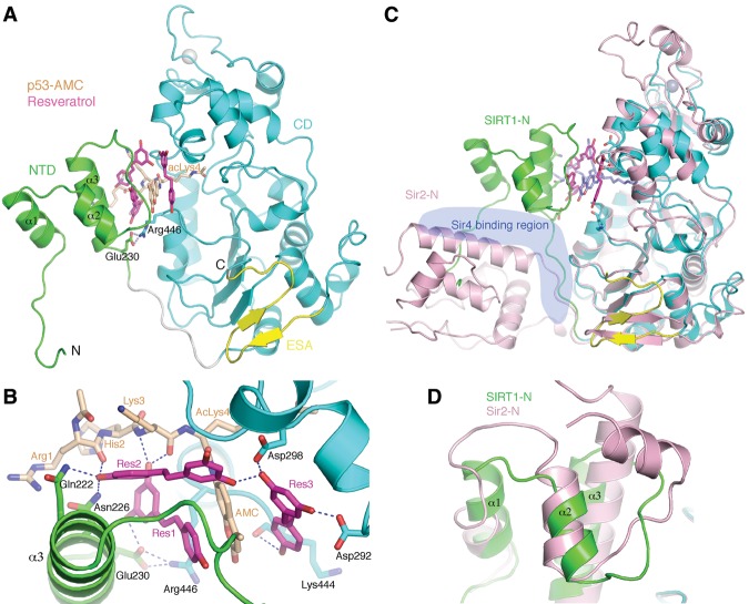 Figure 2.