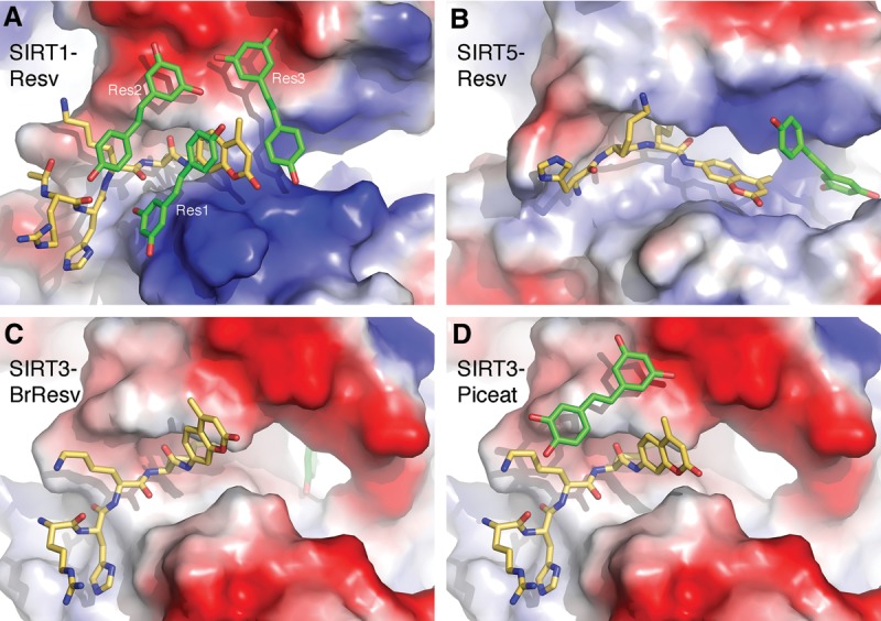 Figure 3.