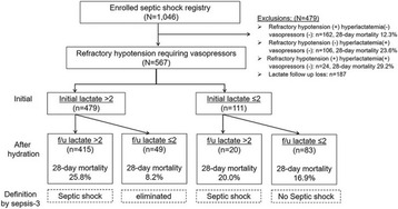 Fig. 1 (abstract P108).