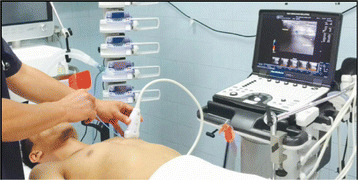 Fig. 1 (abstract P119).