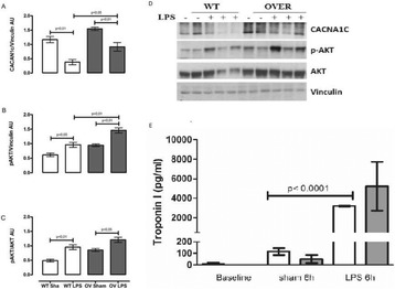 Fig. 2 (abstract P007).