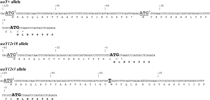 Figure 6.—