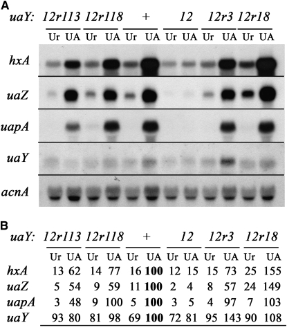 Figure 3.—