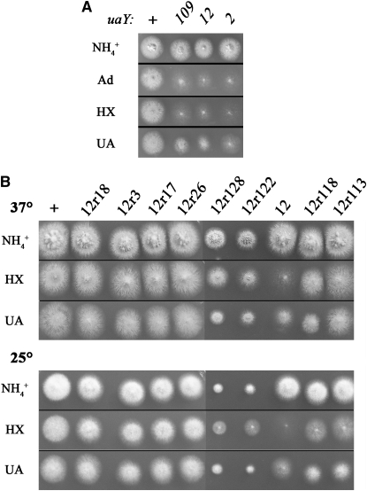 Figure 2.—