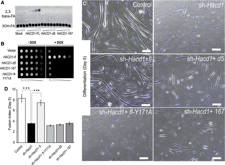 Figure 6