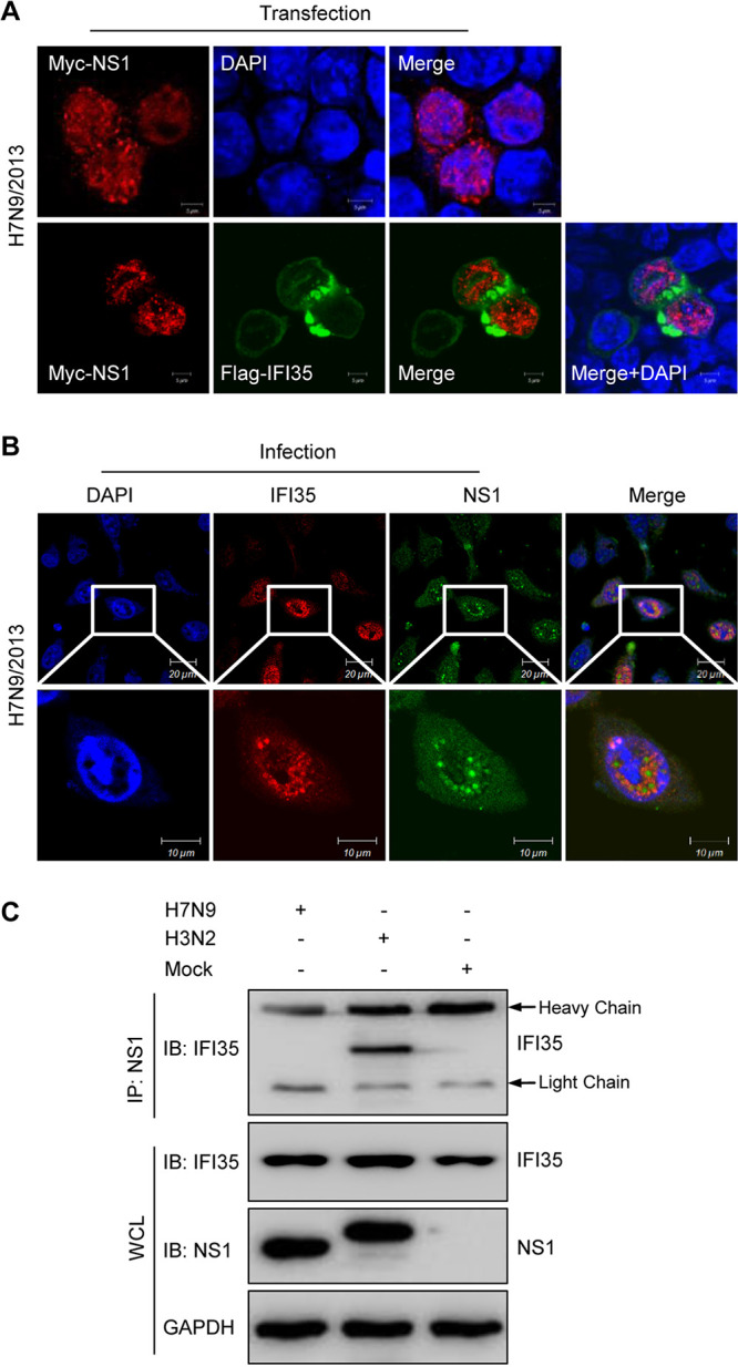 FIG 3