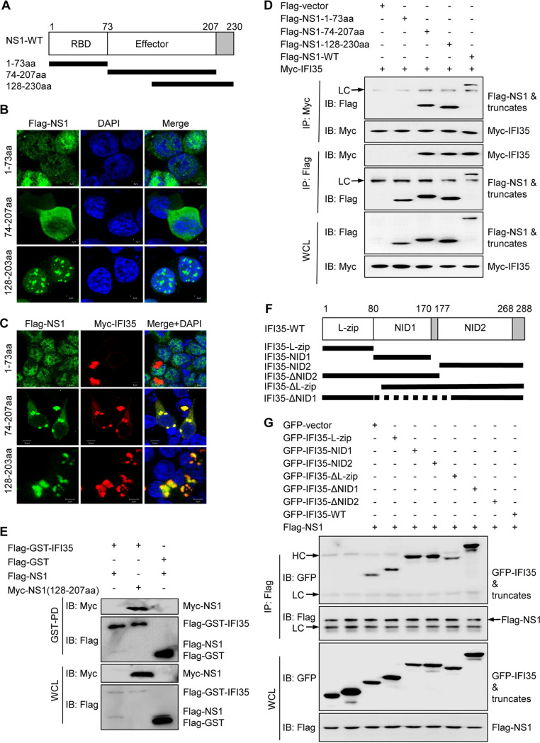 FIG 2