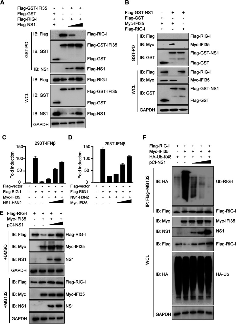 FIG 6