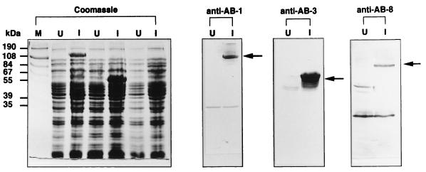 FIG. 6