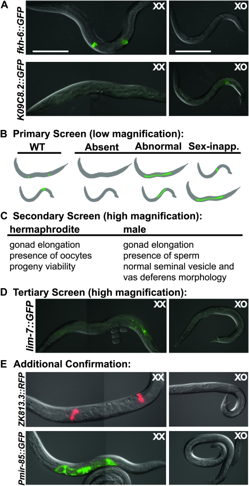 Figure 1.—