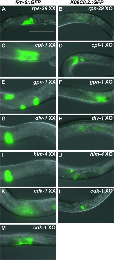 Figure 2.—