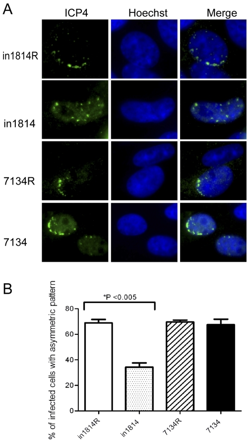 FIG 2 