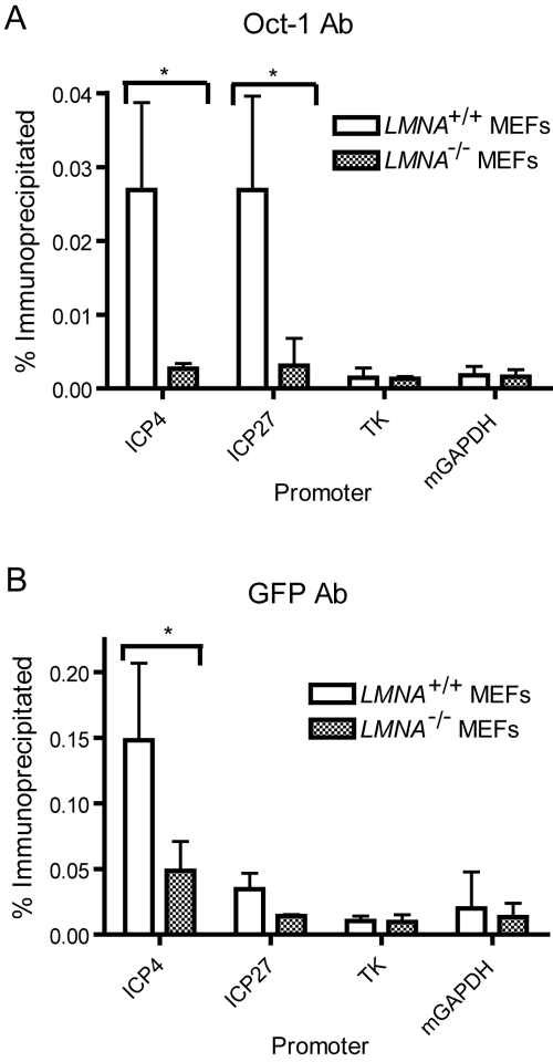 FIG 6 