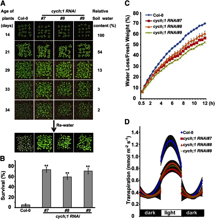 Figure 2.