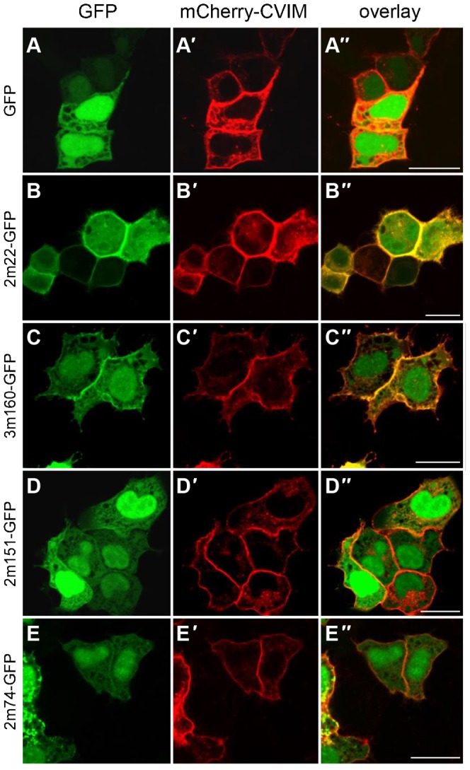 Fig. 3.