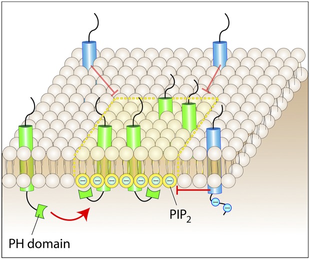 Figure 3.