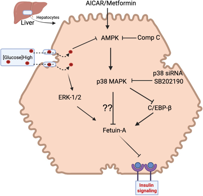 Fig 6