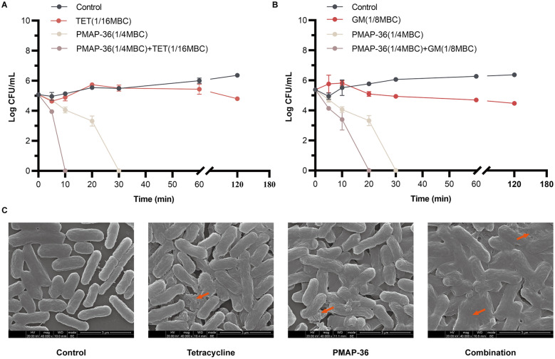 Figure 2