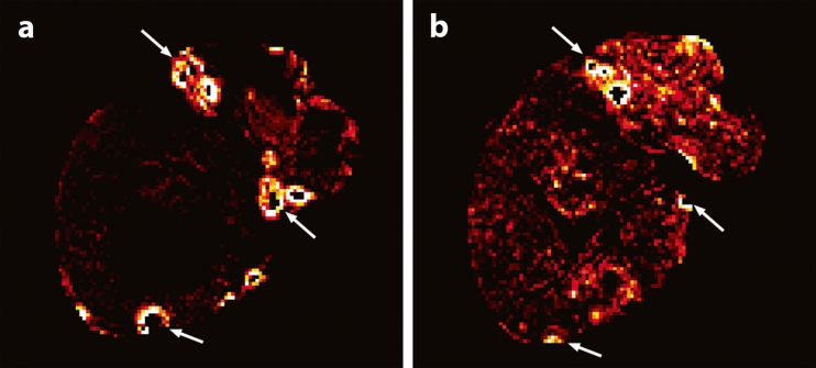 Fig. 4