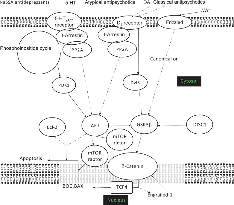 Fig. (1)