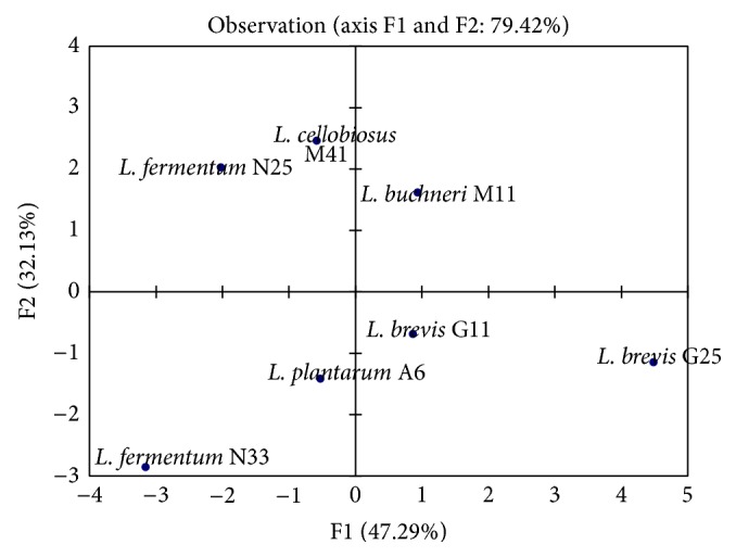 Figure 10