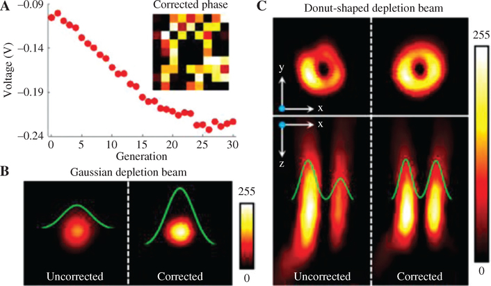 Figure 3: