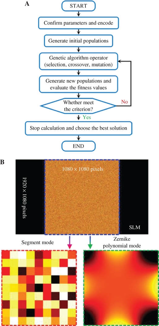 Figure 2: