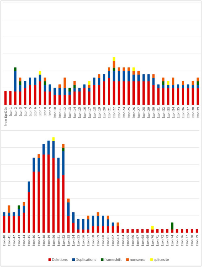 FIGURE 2