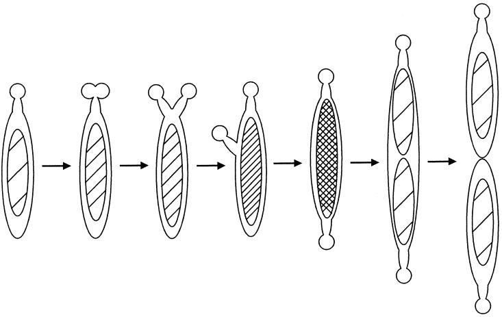 FIG. 8