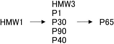 FIG. 9