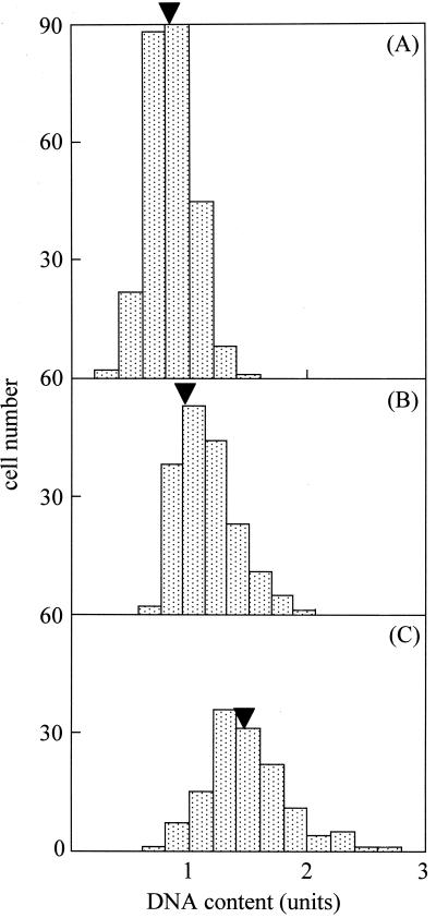 FIG. 3